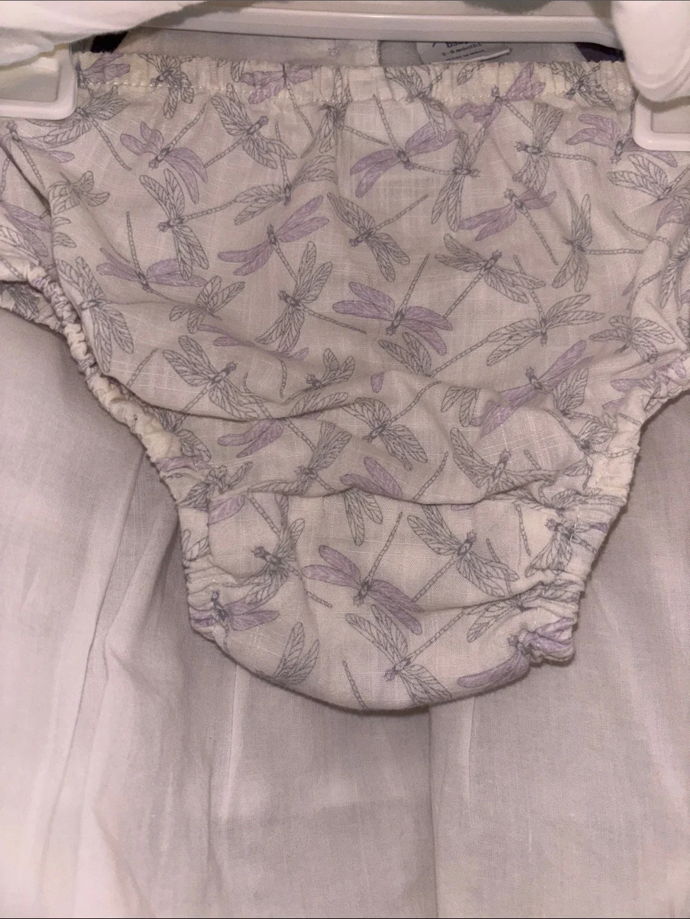 GAP Dragonfly Ruffle Dress Set
